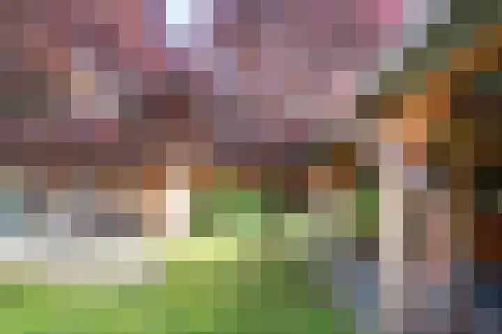 Koereiger 10 Emmen thumbnail 33