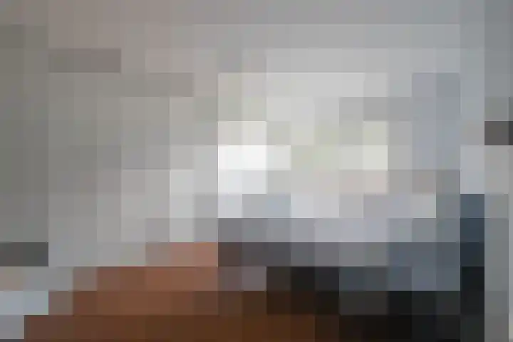 Koereiger 10 Emmen thumbnail 35