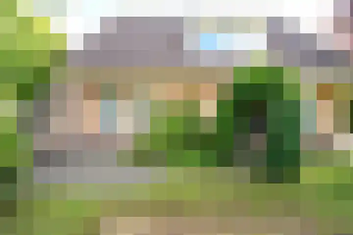 Koereiger 10 Emmen thumbnail 36