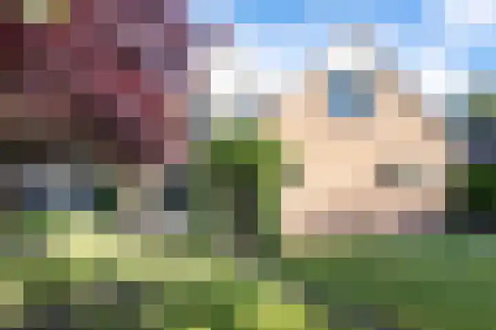 Koereiger 10 Emmen thumbnail 37