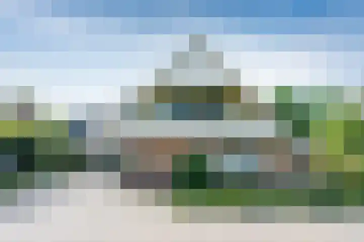 Koereiger 10 Emmen thumbnail 38