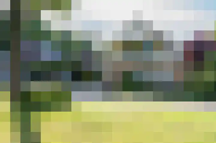 Koereiger 10 Emmen thumbnail 39