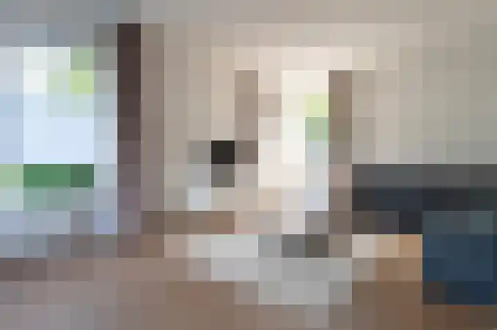 Koereiger 10 Emmen thumbnail 4