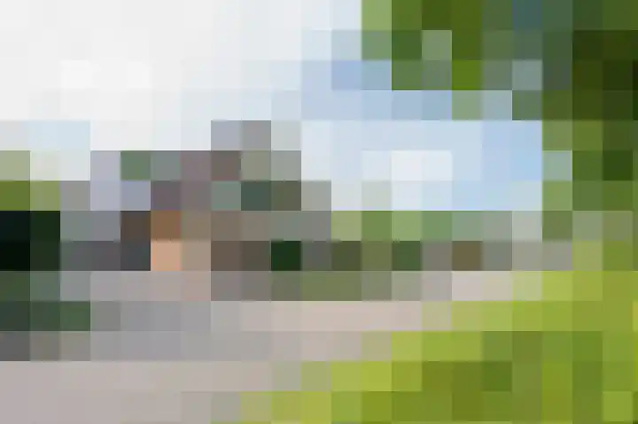 Koereiger 10 Emmen thumbnail 40