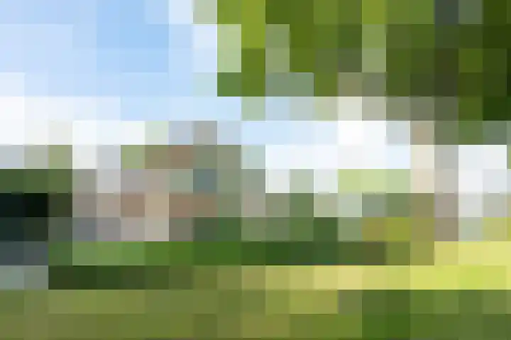 Koereiger 10 Emmen thumbnail 41