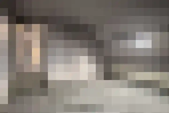 Koereiger 10 Emmen thumbnail 6