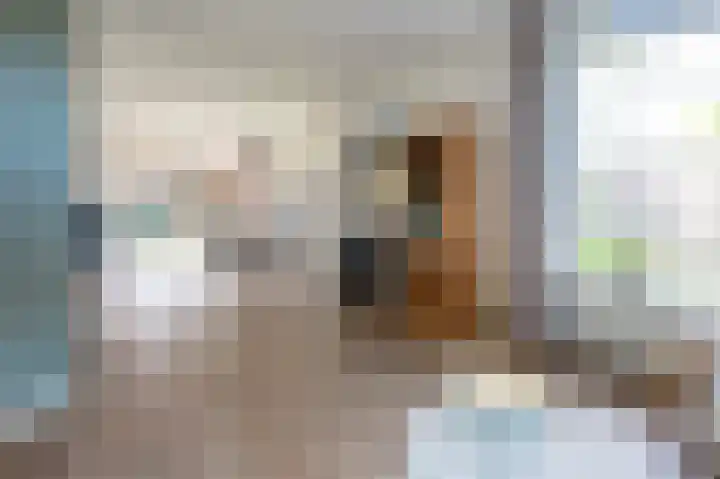 Koereiger 10 Emmen thumbnail 7