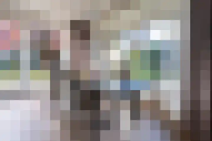 Koereiger 10 Emmen thumbnail 9