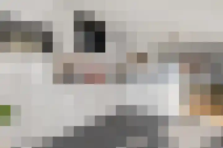 Koers 4 Nootdorp thumbnail 11