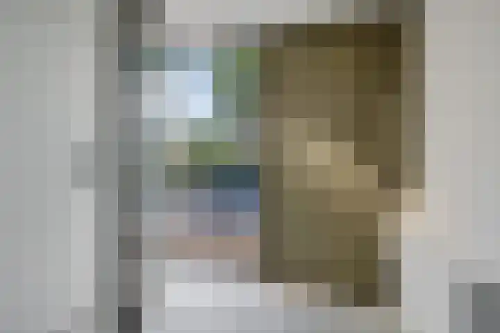 Koesteeg 2 a Ommen thumbnail 15