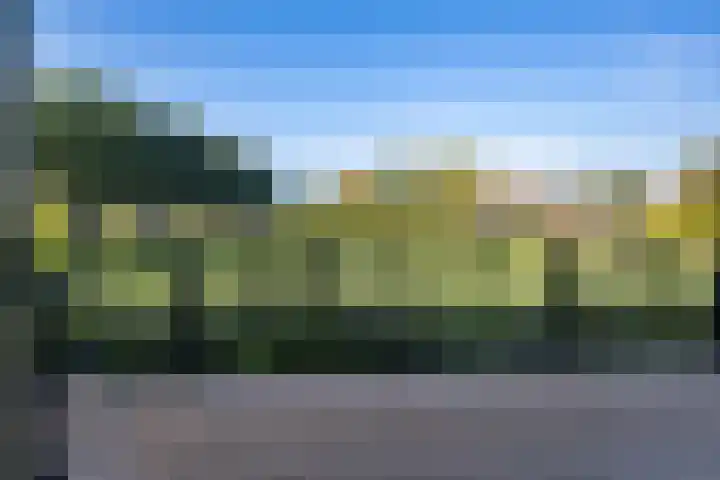 Koesteeg 2 a Ommen thumbnail 22
