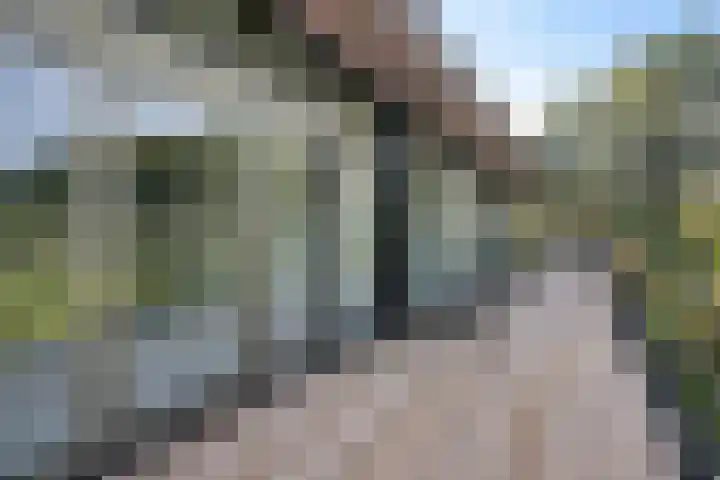 Koesteeg 2 a Ommen thumbnail 30