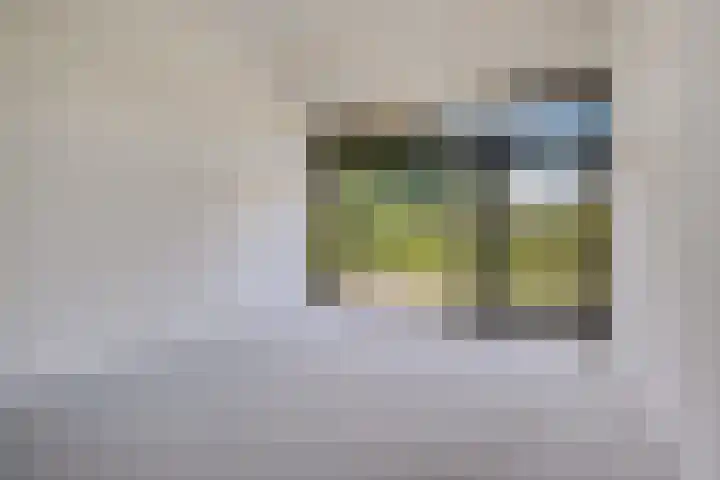 Koesteeg 2 a Ommen thumbnail 31
