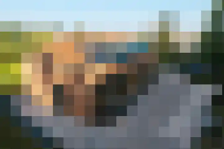 Koesteeg 2 a Ommen thumbnail 41