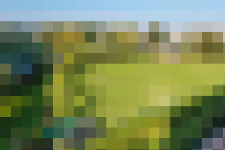 Koesteeg 2 a Ommen thumbnail 48
