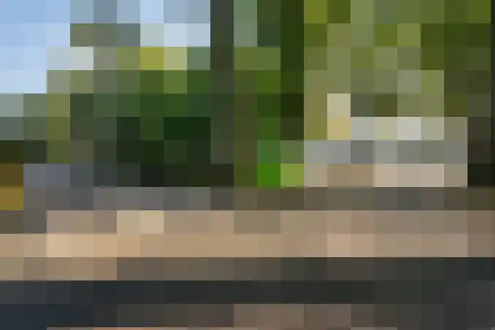 Koesteeg 2 a Ommen thumbnail 5