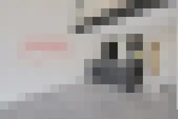 Koesteeg 2 a Ommen thumbnail 58
