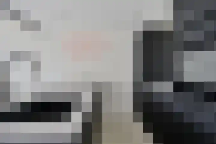 Koesteeg 2 a Ommen thumbnail 59