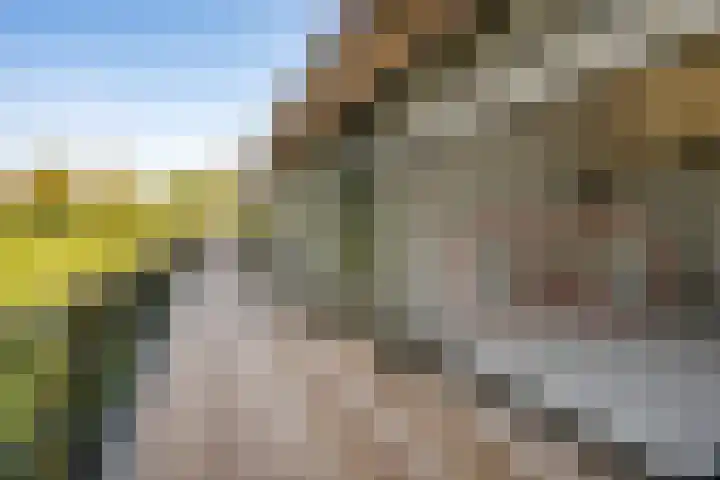 Koesteeg 2 a Ommen thumbnail 63