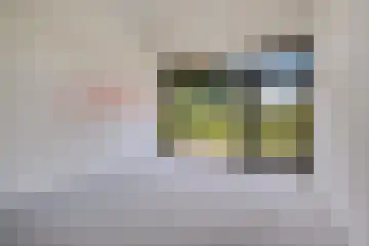 Koesteeg 2 a Ommen thumbnail 64