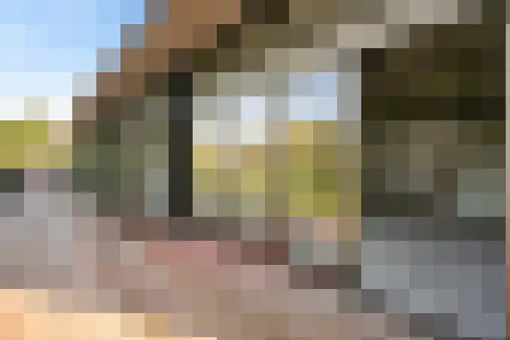 Koesteeg 2 a Ommen thumbnail 65