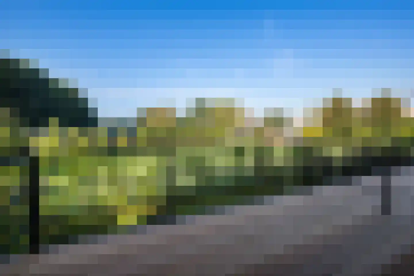 Koesteeg 2 c Ommen thumbnail 25