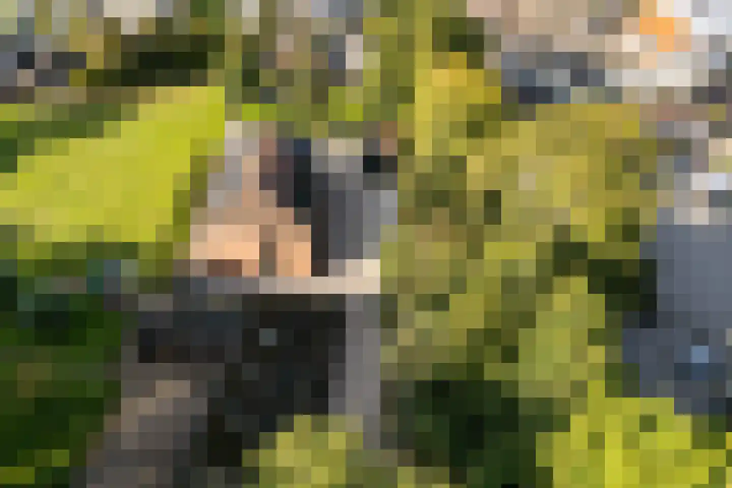 Koesteeg 2 c Ommen thumbnail 4