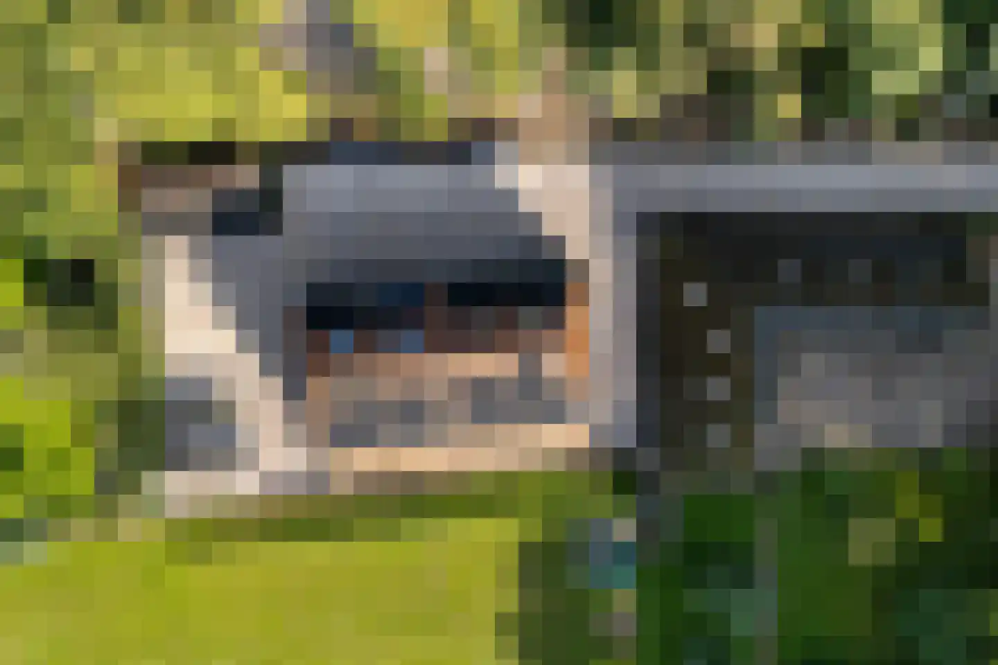 Koesteeg 2 c Ommen thumbnail 46