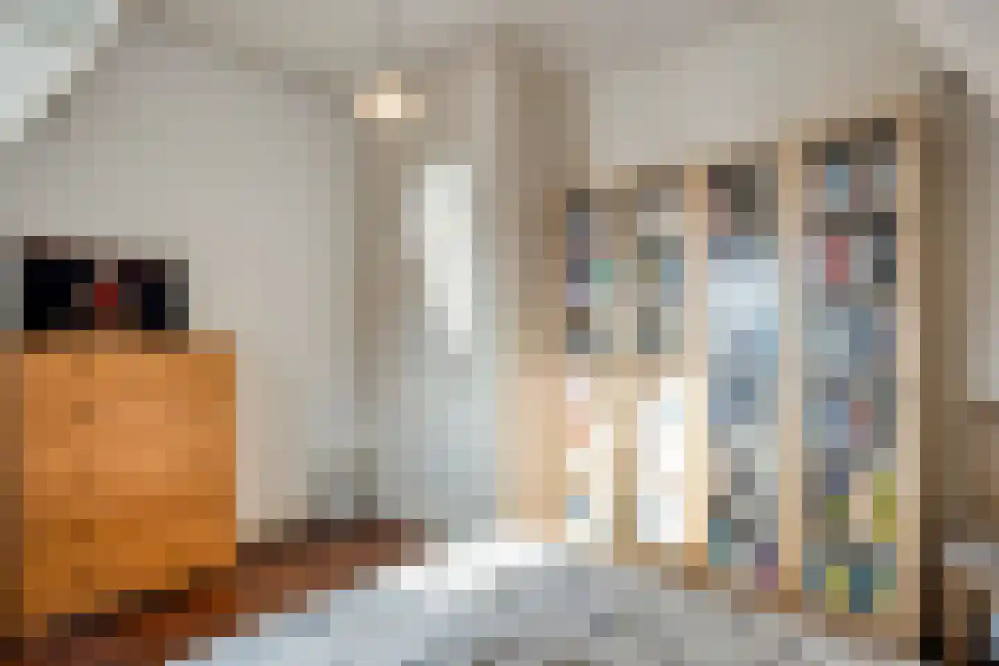 Koestraat 12 Hellendoorn thumbnail 29