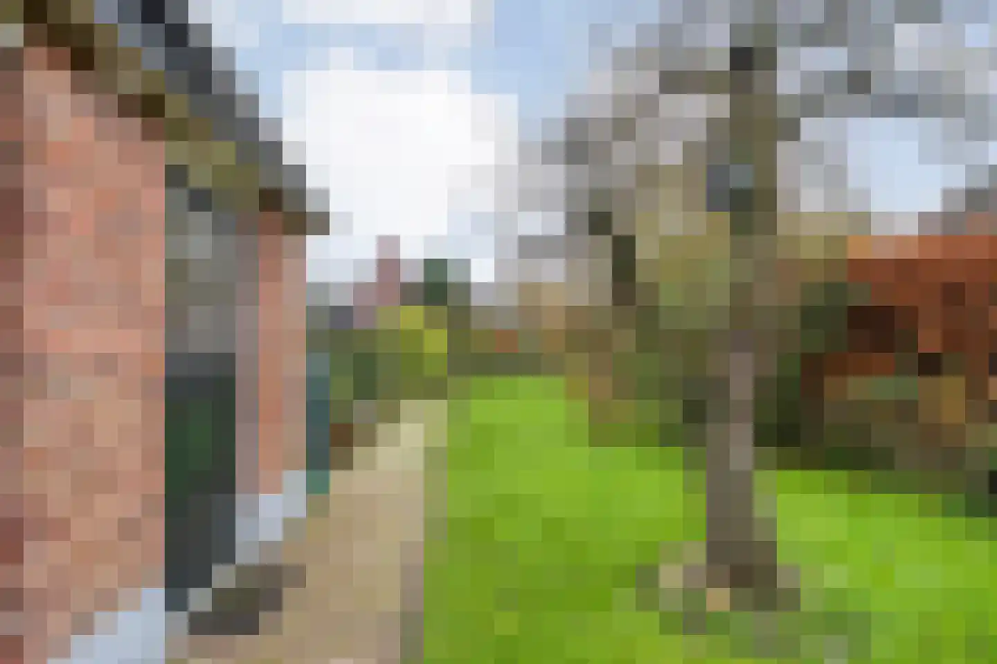 Koestraat 12 Hellendoorn thumbnail 38