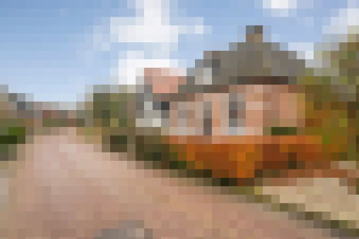 Koestraat 12 Hellendoorn thumbnail 53