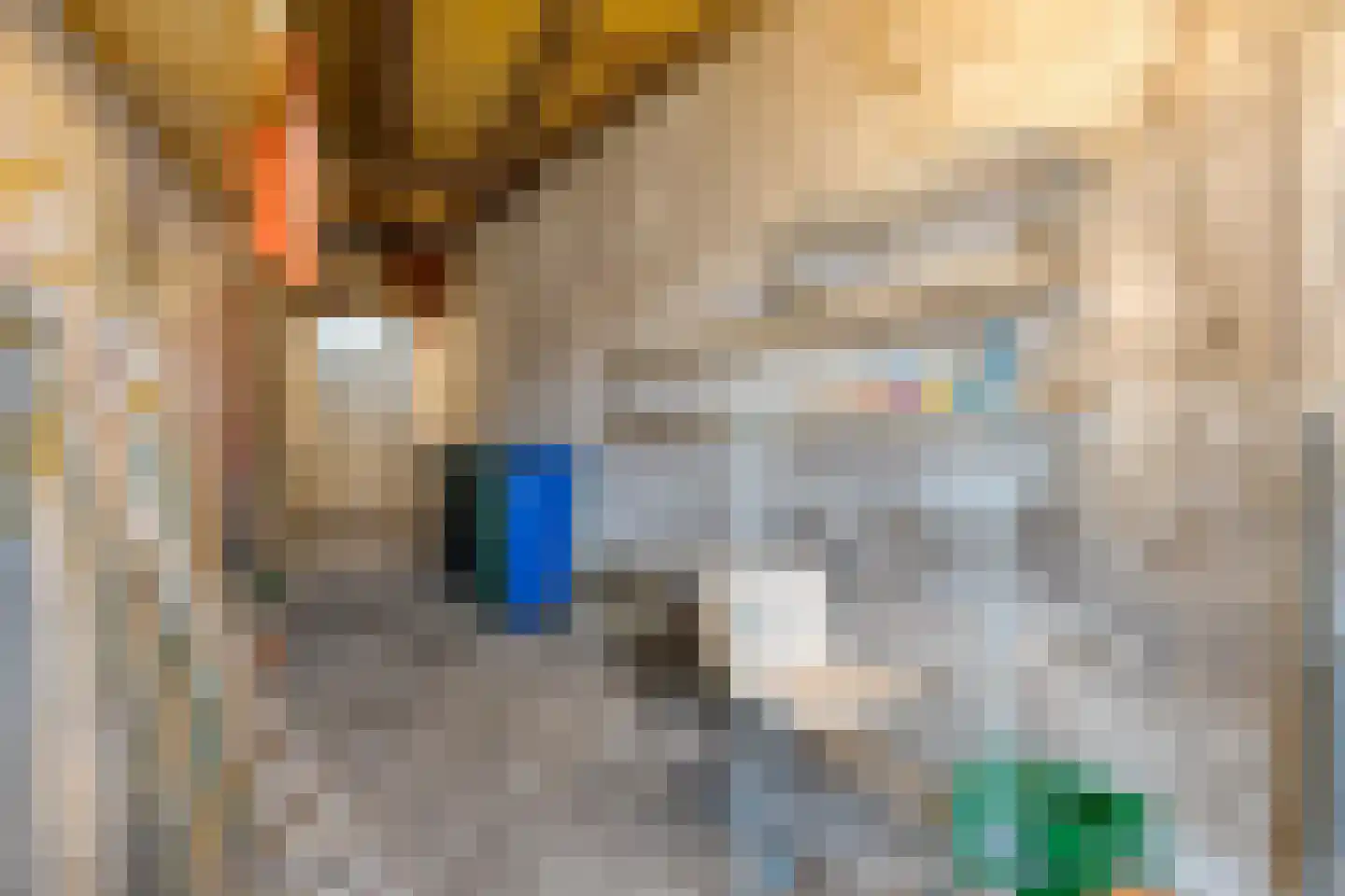 Koestraat 14 Axel thumbnail 30