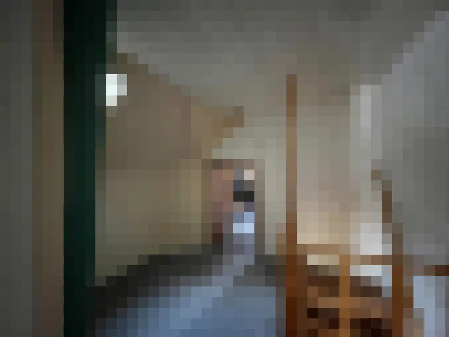 Koestraat 16 Arcen thumbnail 11
