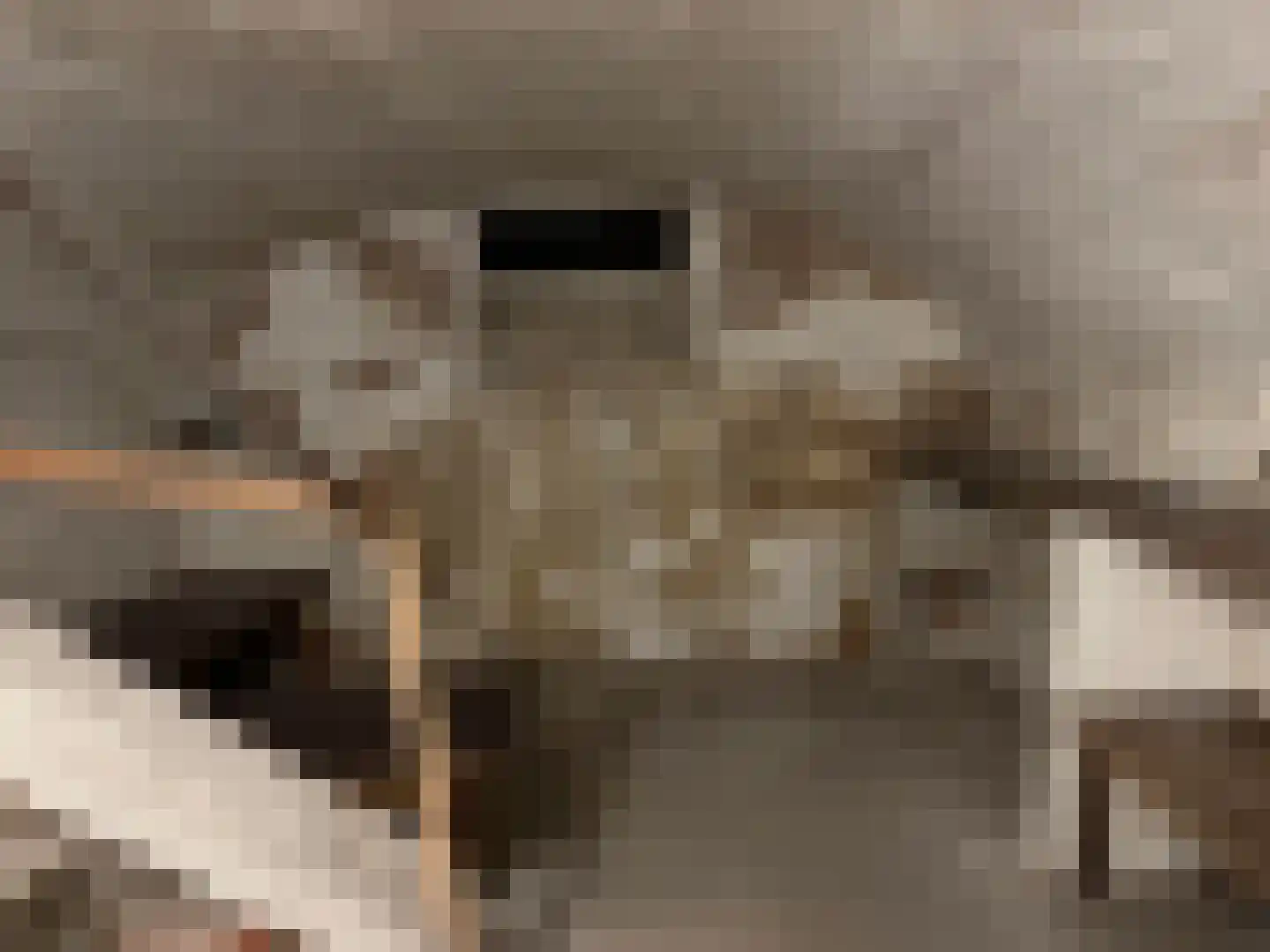 Koestraat 16 Arcen thumbnail 16