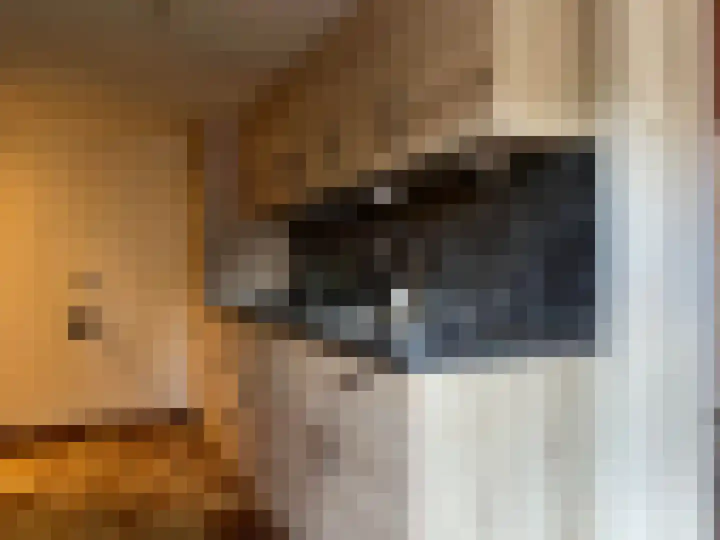 Koestraat 16 Arcen thumbnail 6