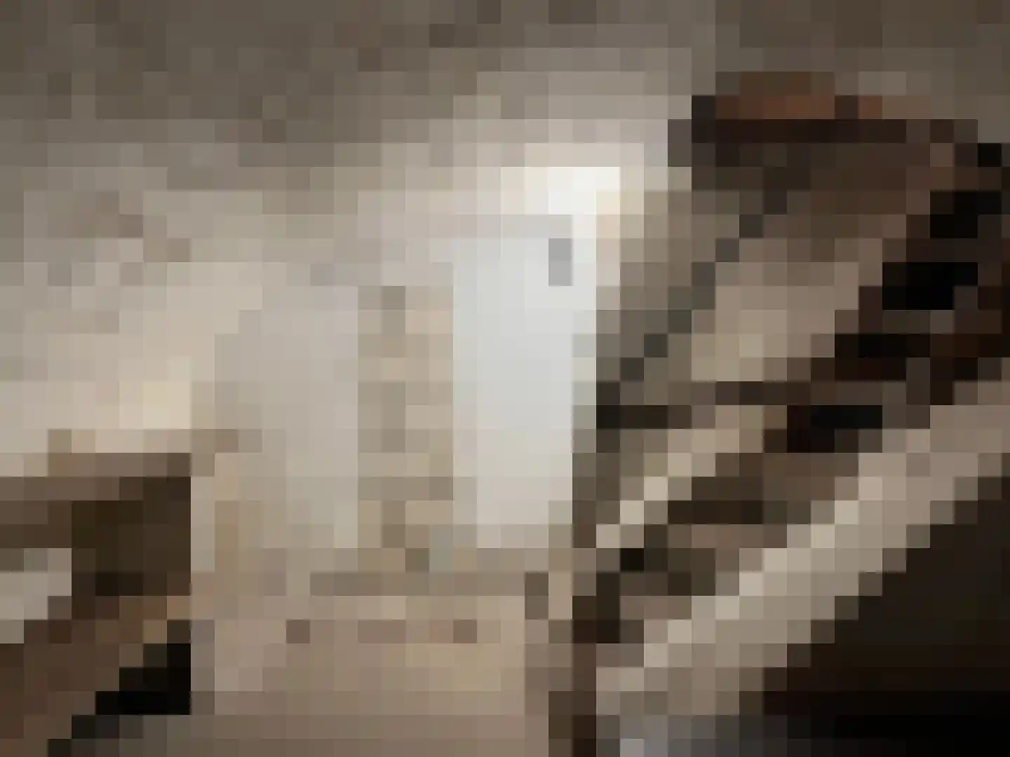 Koestraat 16 Arcen thumbnail 8