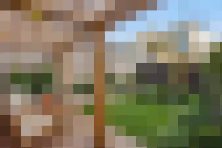 Koestraat 18 Vught thumbnail 20