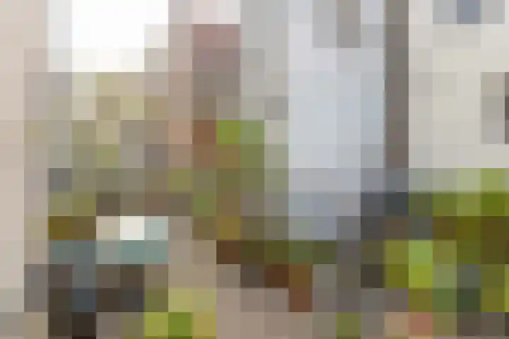 Koestraat 2 1 Amsterdam thumbnail 31