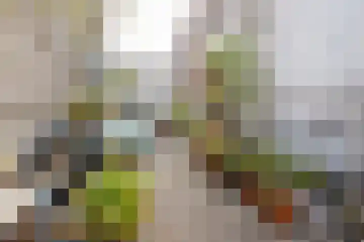 Koestraat 2 1 Amsterdam thumbnail 32