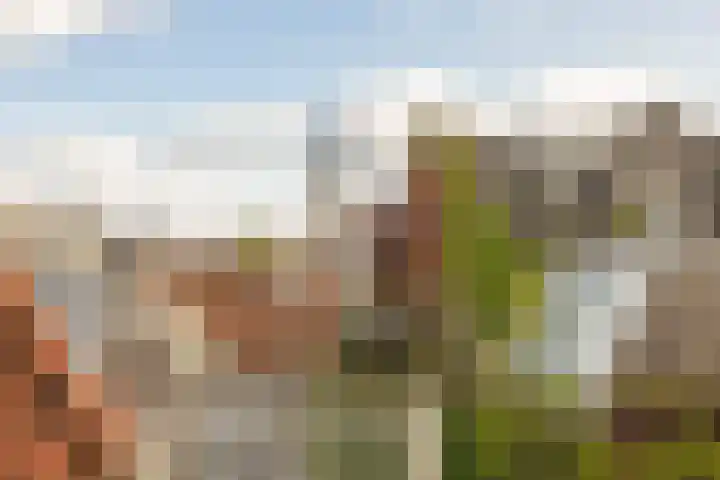 Koestraat 2 1 Amsterdam thumbnail 43