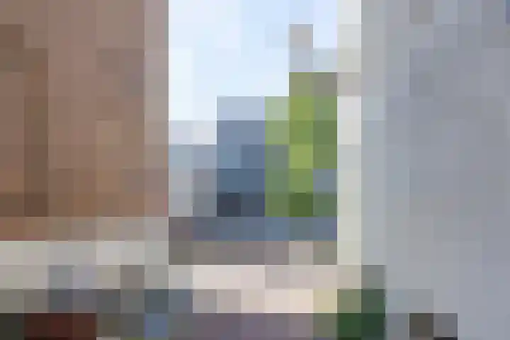 Koestraat 2 1 Amsterdam thumbnail 44