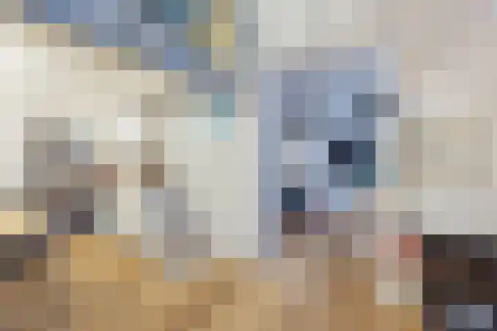 Koestraat 2 1 Amsterdam thumbnail 6