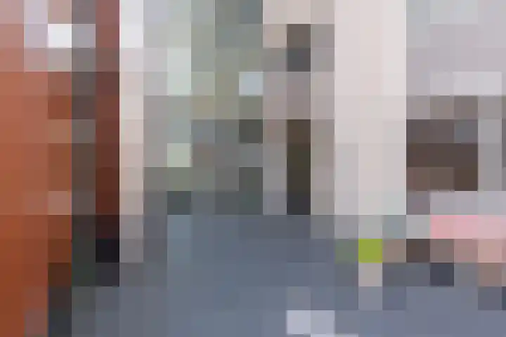 Koestraat 242 Tilburg thumbnail 29