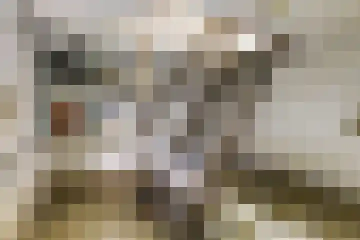 Koestraat 29 Arcen thumbnail 22