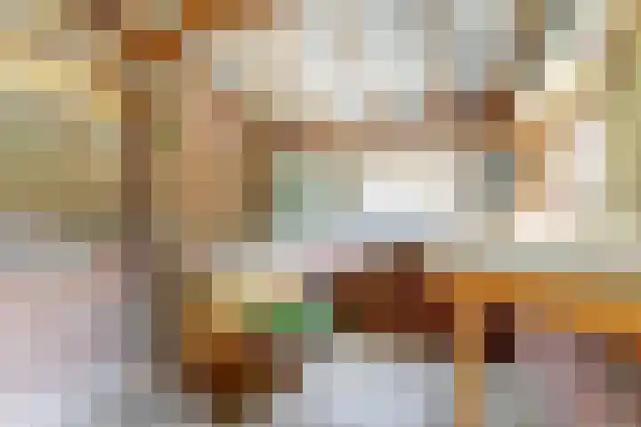Koestraat 29 Arcen thumbnail 27