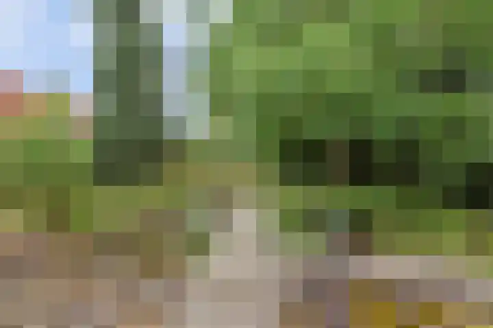 Koestraat 29 Arcen thumbnail 38