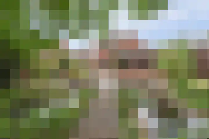 Koestraat 29 Arcen thumbnail 4