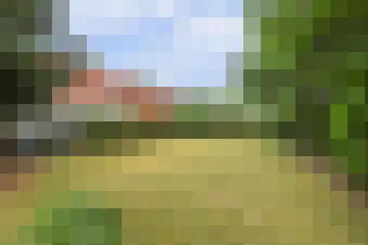 Koestraat 29 Arcen thumbnail 40