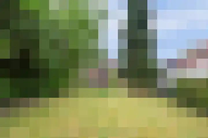 Koestraat 29 Arcen thumbnail 41