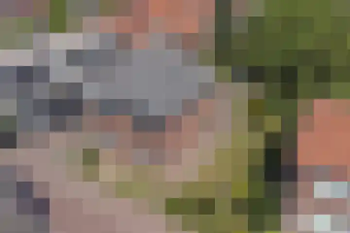 Koestraat 29 Arcen thumbnail 48